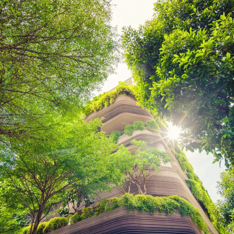 Sustainable Finance